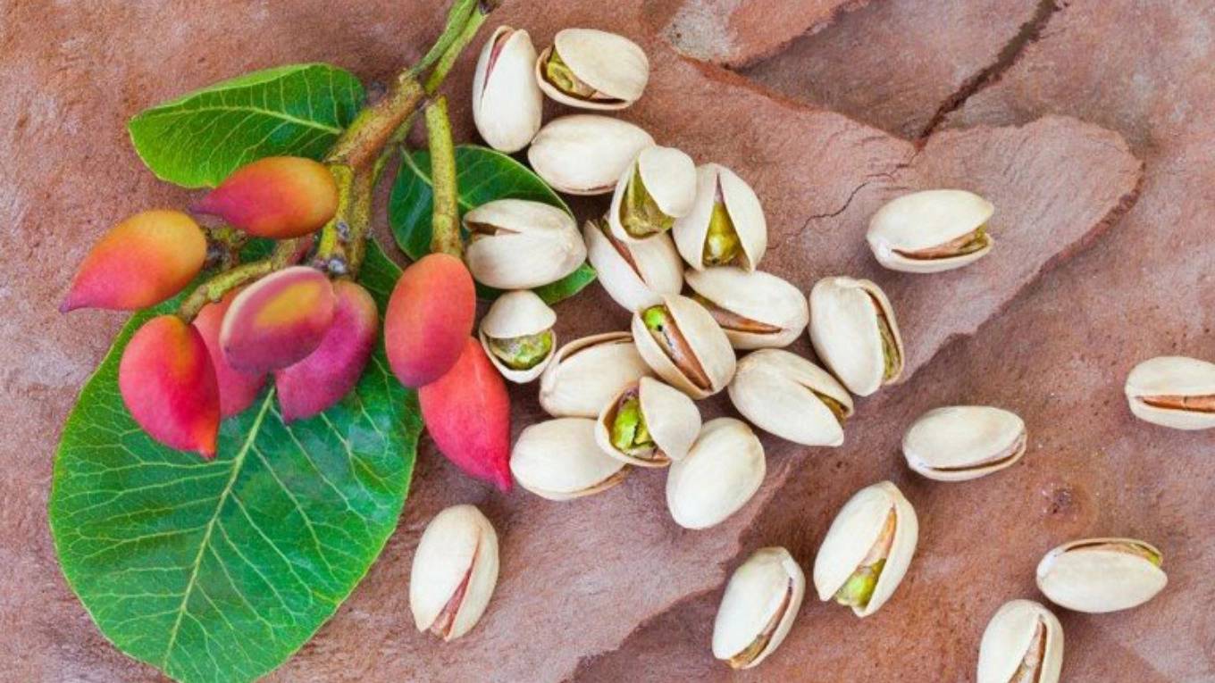 خواص پسته خواص پسته
